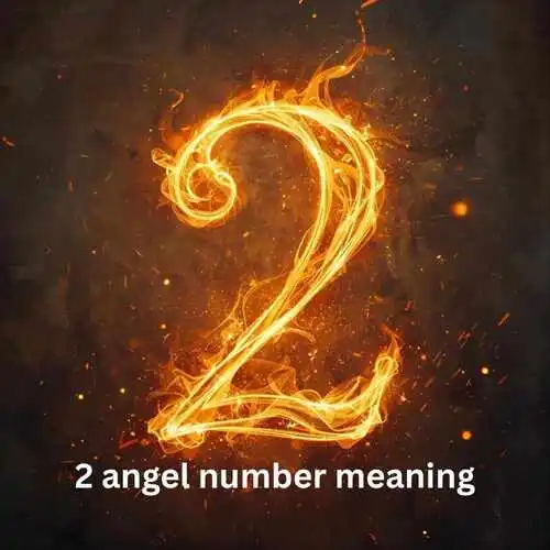 2 angel number meaning