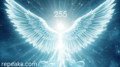 angel number 255