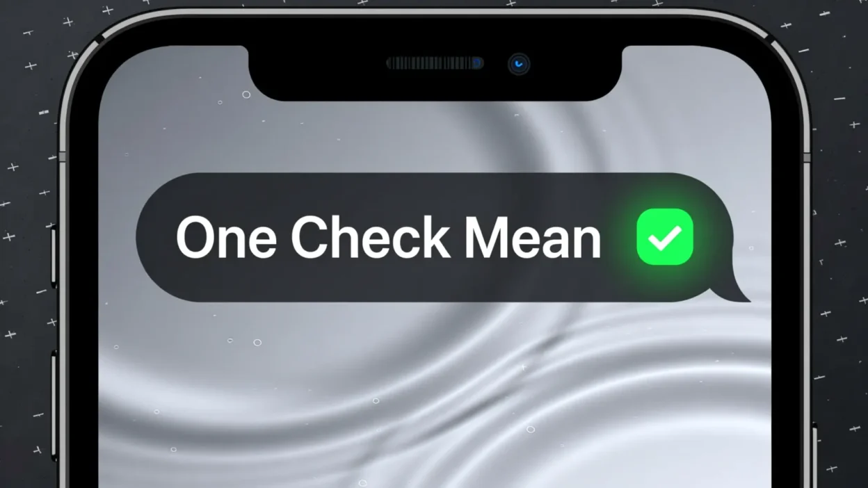 One Check Mean on WhatsApp
